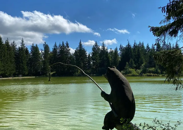 Laykaflat Lejlighed *